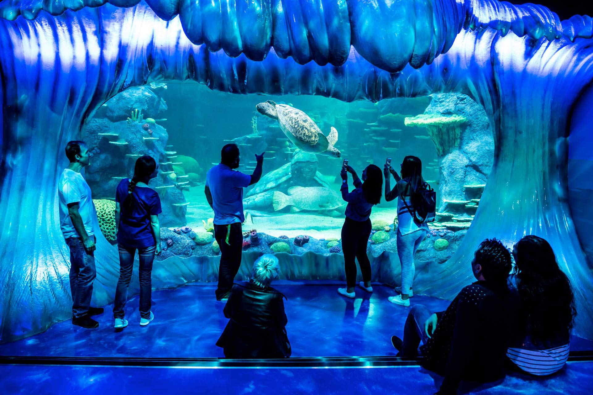 Aquarium